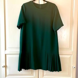 Zara women’s mini dress(hits mid thigh) with back zip